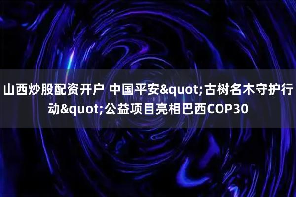 山西炒股配资开户 中国平安"古树名木守护行动"公益项目亮相巴西COP30