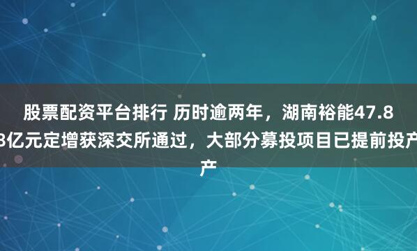 股票配资平台排行 历时逾两年，湖南裕能47.88亿元定增获深交所通过，大部分募投项目已提前投产