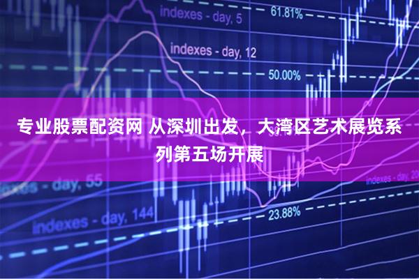 专业股票配资网 从深圳出发，大湾区艺术展览系列第五场开展